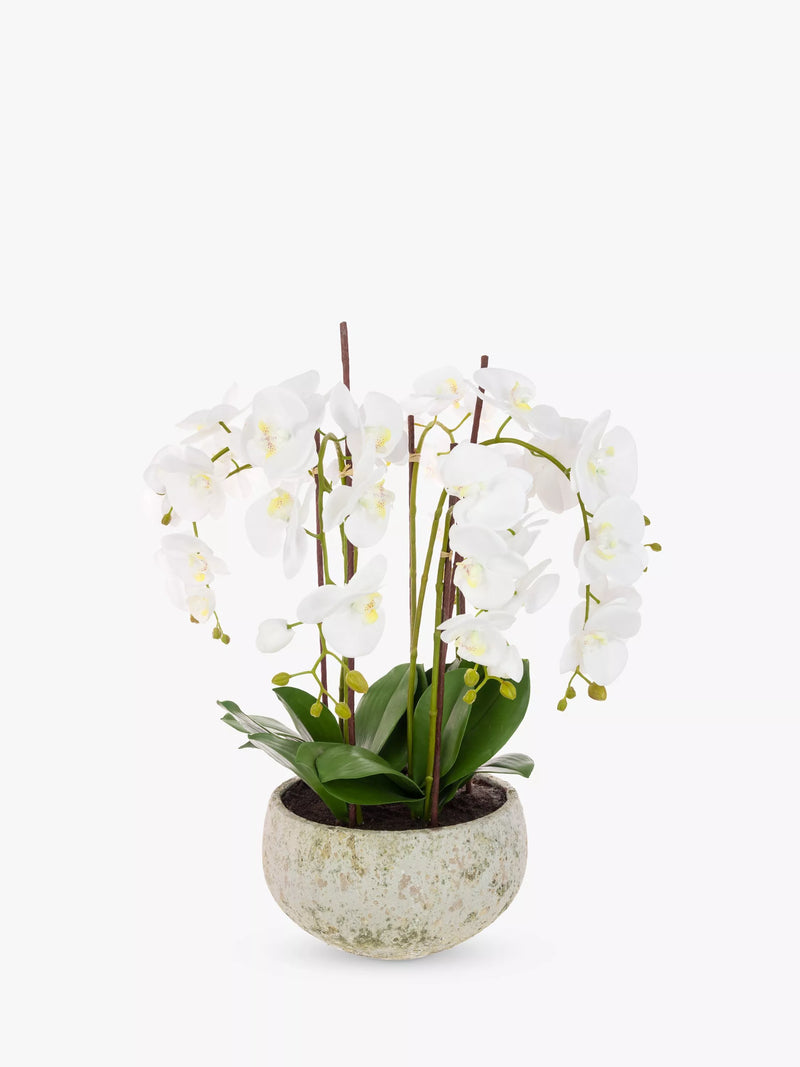 Floralsilk artificial white orchid in clay pot - British product