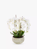 Floralsilk artificial white orchid in clay pot - British product