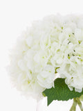 Floralsilk white artificial hydrangeas in globe vase - British product