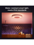Philips Hue Xamento large white flush ceiling light (British brand)
