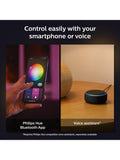 Philips Hue Xamento large white flush ceiling light (British brand)