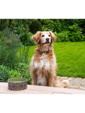 William Morris At Home ceramic dog bowl Blackthorn print 18.5cm, UK version