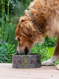 William Morris At Home ceramic dog bowl Blackthorn print 18.5cm, UK version