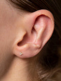 Astrid & Miyu stud earrings clear CZ gold, imported from UK