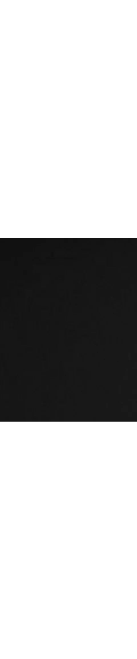 De'Longhi Ballerina 4-Slice Toaster - McGrocer