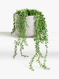 John Lewis Artificial Nickel Plants in Grey Pot (imported from the UK)