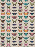 Harlequin Papilio butterfly furnishing fabric 137cm wide - British product