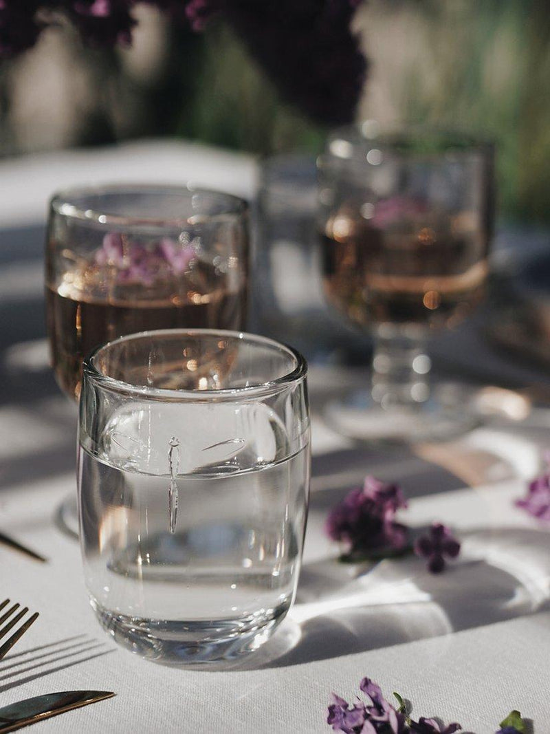 La Rochère Libellule glass tumblers clear set of 6 280ml, UK version