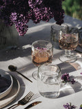 La Rochère wine or water glass tumblers with dragonfly design, set of 6, 280ml, UK version