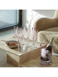 LSA International champagne flutes blush 170ml, UK version