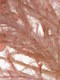 Floralsilk artificial pampas reed stem - British product