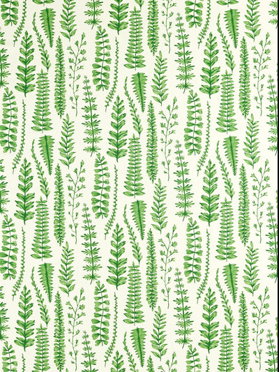 John Lewis Scion Ferns Furnishing Fabric, Juniper- Buy online at McGrocer