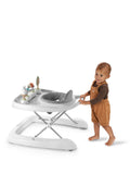 Ingenuity Step & Sprout 3-in-1 Activity Walker First Forest, UK version