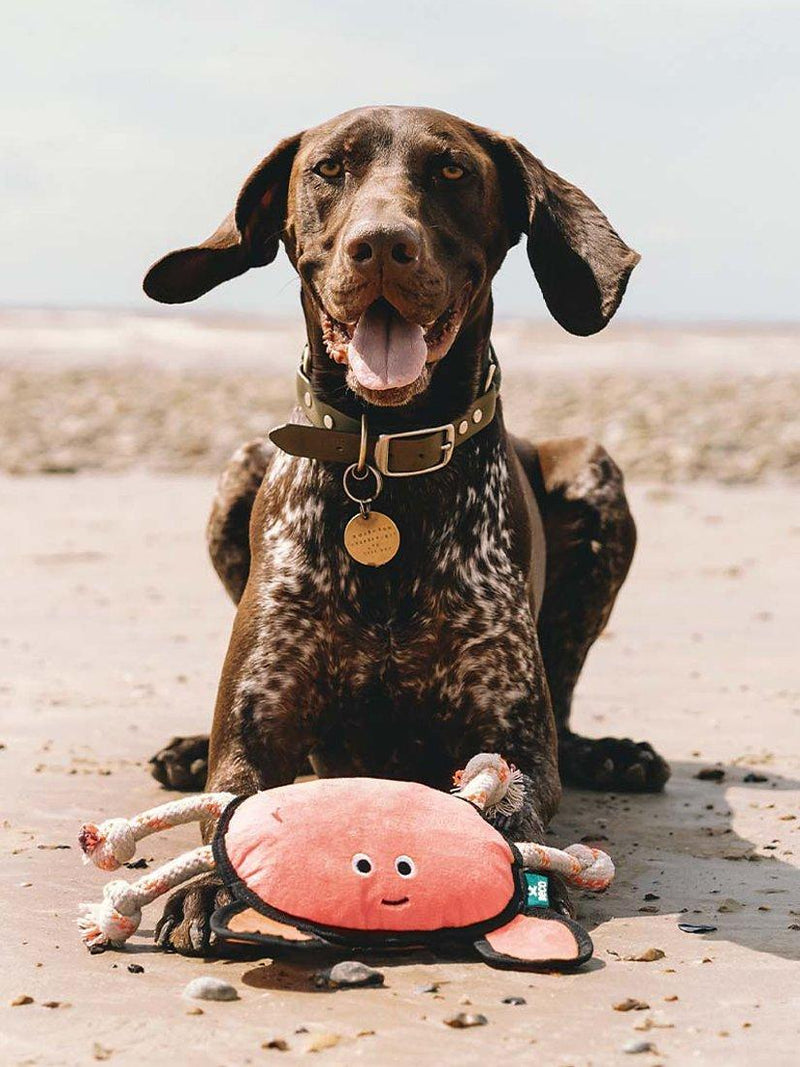 Beco Pets crab dog toy large (British brand)
