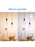 Philips G95 E27 smart LED tunable white bulb (British brand)