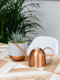 The Little Botanical copper watering can and Haworthia plant set, 450ml capacity (British brand)