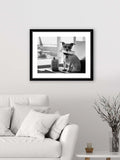 Brookpace Lascelles terrier travel framed print 45.5x55.5 - British product