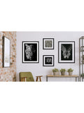 Brookpace Lascelles tiger framed print 81x65.5cm, UK version