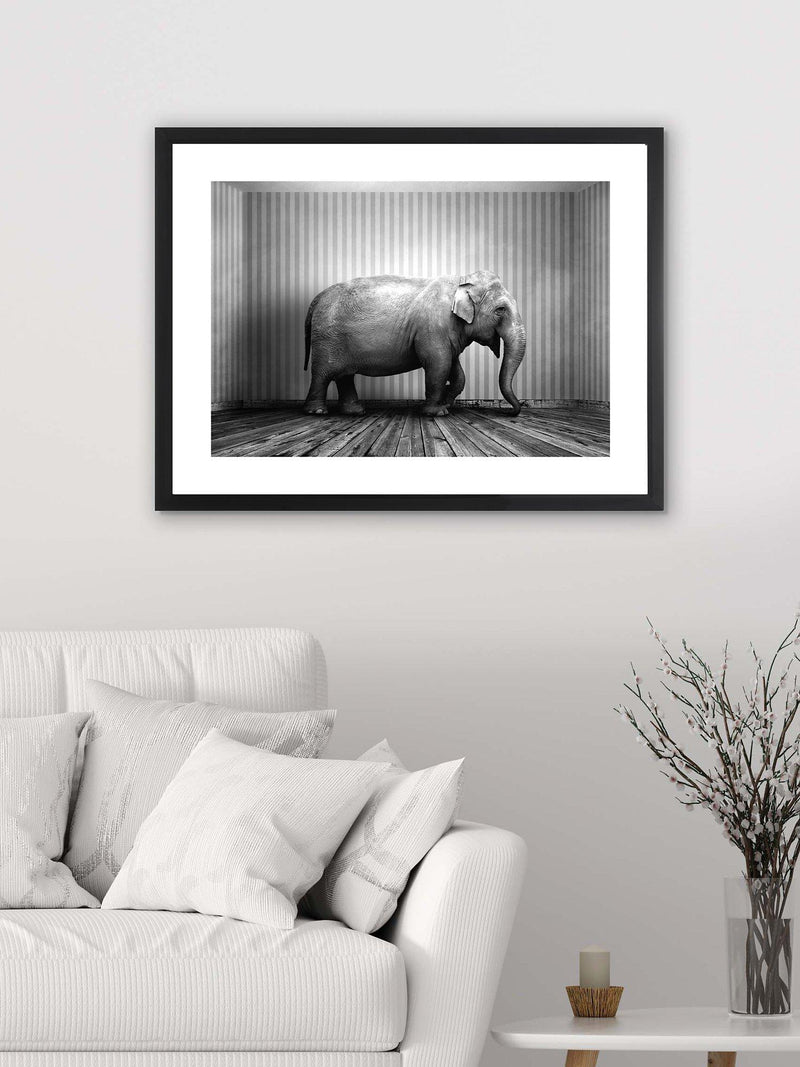 Brookpace Lascelles framed photographic print of elephant 65.5x85.5cm, UK version