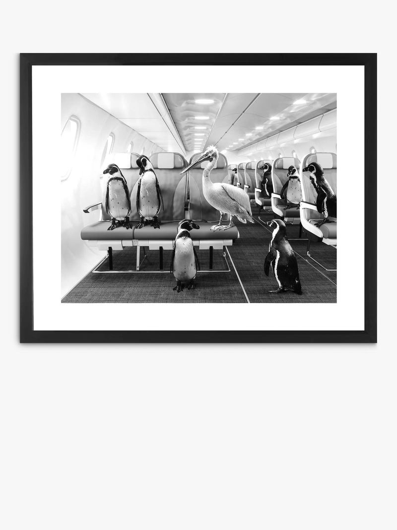 Brookpace Lascelles framed print penguins pelican airplane cabin 45.5x55.5cm, UK version