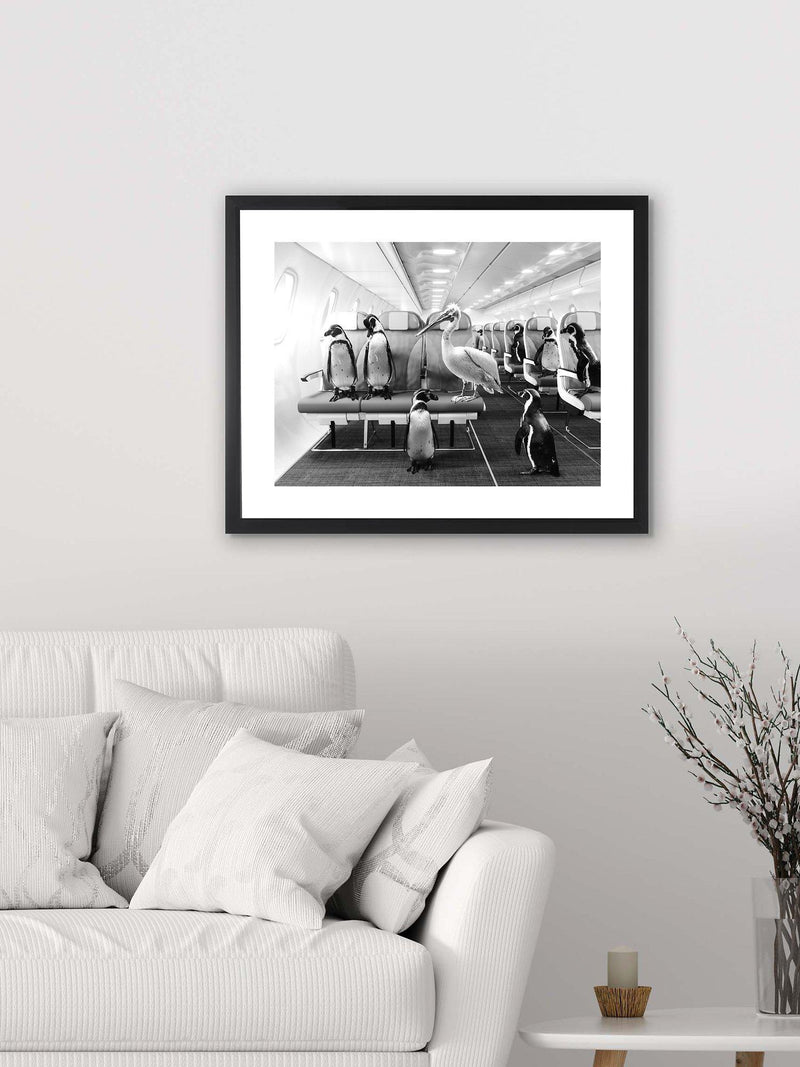 Brookpace Lascelles framed print penguins pelican airplane cabin 45.5x55.5cm, UK version