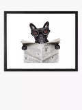 Brookpace Lascelles framed print Bulldog News 45.5x55.5cm, imported from the UK