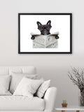 Brookpace Lascelles framed print Bulldog News 45.5x55.5cm, imported from the UK