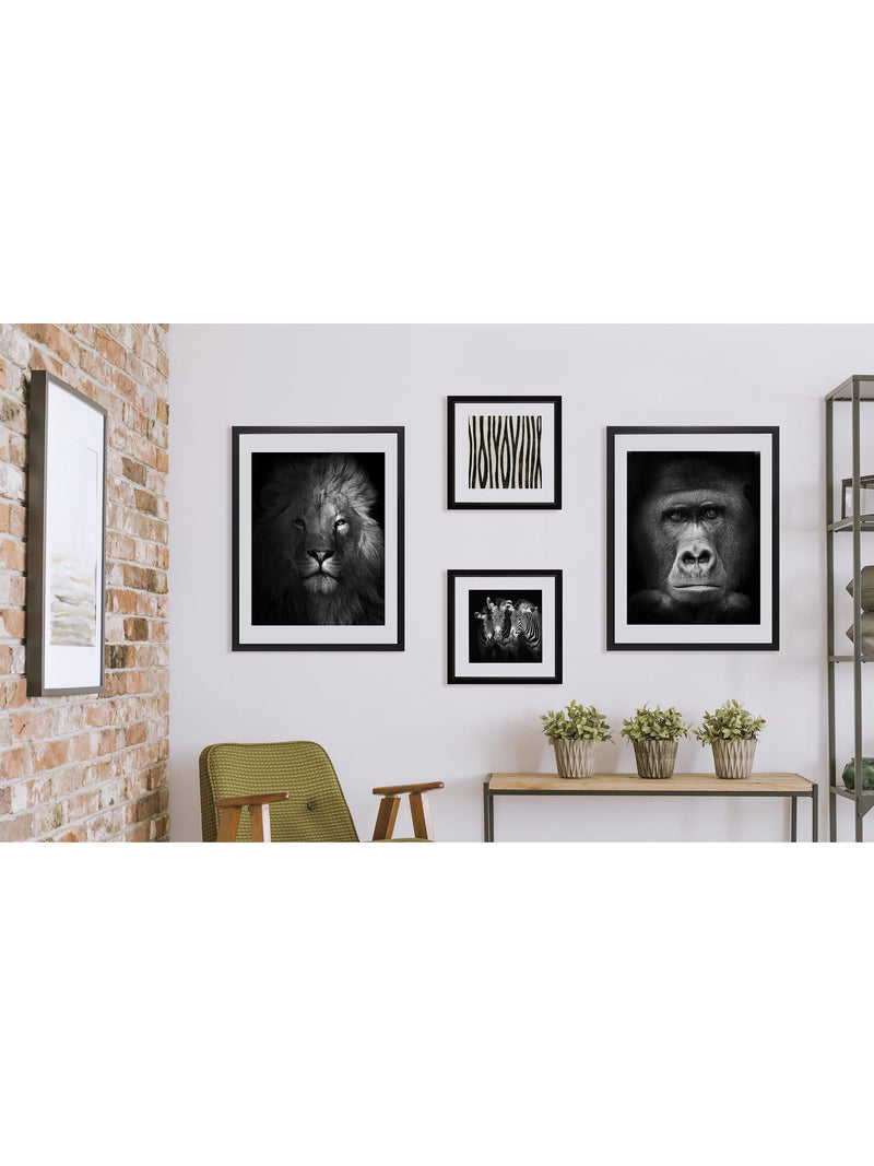 Brookpace Lascelles lion framed print black and white 81x65.5cm - British product