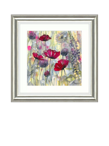 John Lewis John Lewis 'Raspberry Poppy 2' Framed Print by Catherine Stephenson, 60.5 x 60.5cm- Buy online at McGrocer
