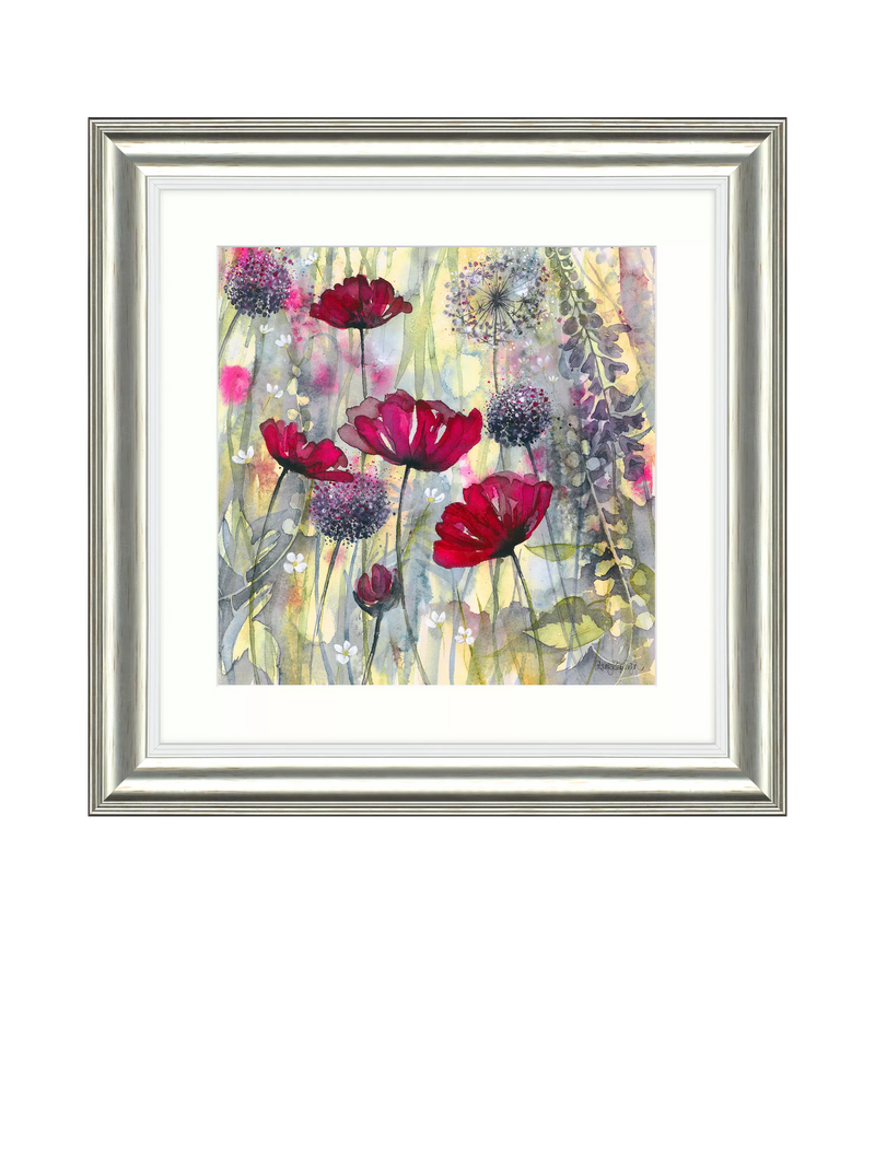 John Lewis Catherine Stephenson raspberry poppy framed print 60.5cm, imported from the UK