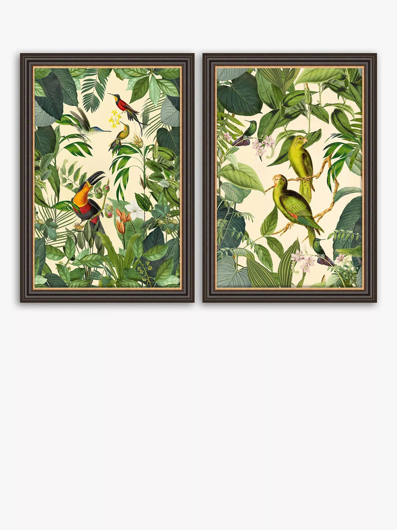 John Lewis Tropical Birds framed prints set of 2, UK version