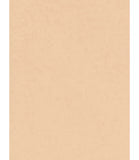 Charlotte Tilbury Beautiful Skin Foundation