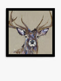 John Lewis framed print of stag 'Majesty' 54.5x54.5cm, imported from the UK