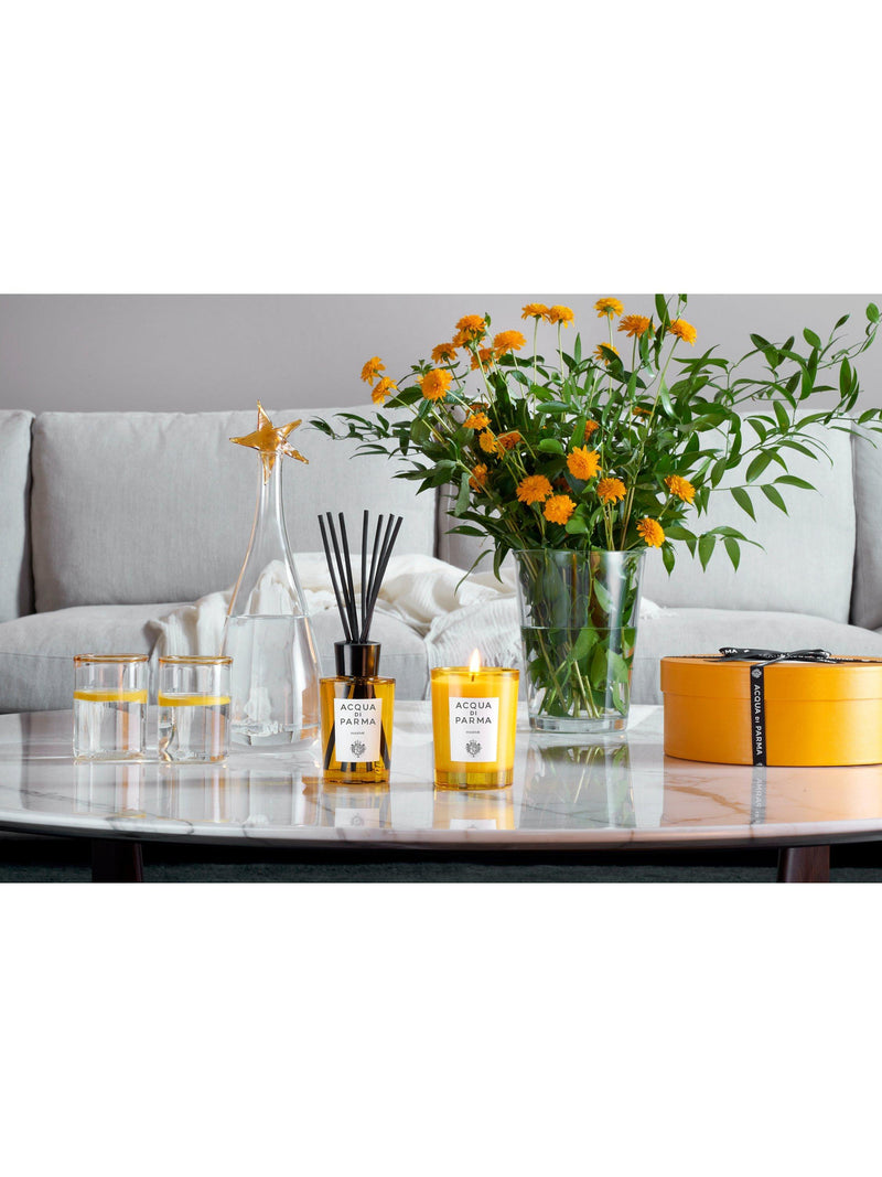 Acqua di Parma Insieme Reed Diffuser 180ml - British product