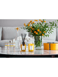Acqua di Parma Insieme Reed Diffuser 180ml - British product