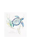 The Proper Mail Company turtle birthday card 15x15cm, imported from the UK