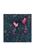 Sara Miller hummingbird blank greeting card 15x15cm, imported from the UK