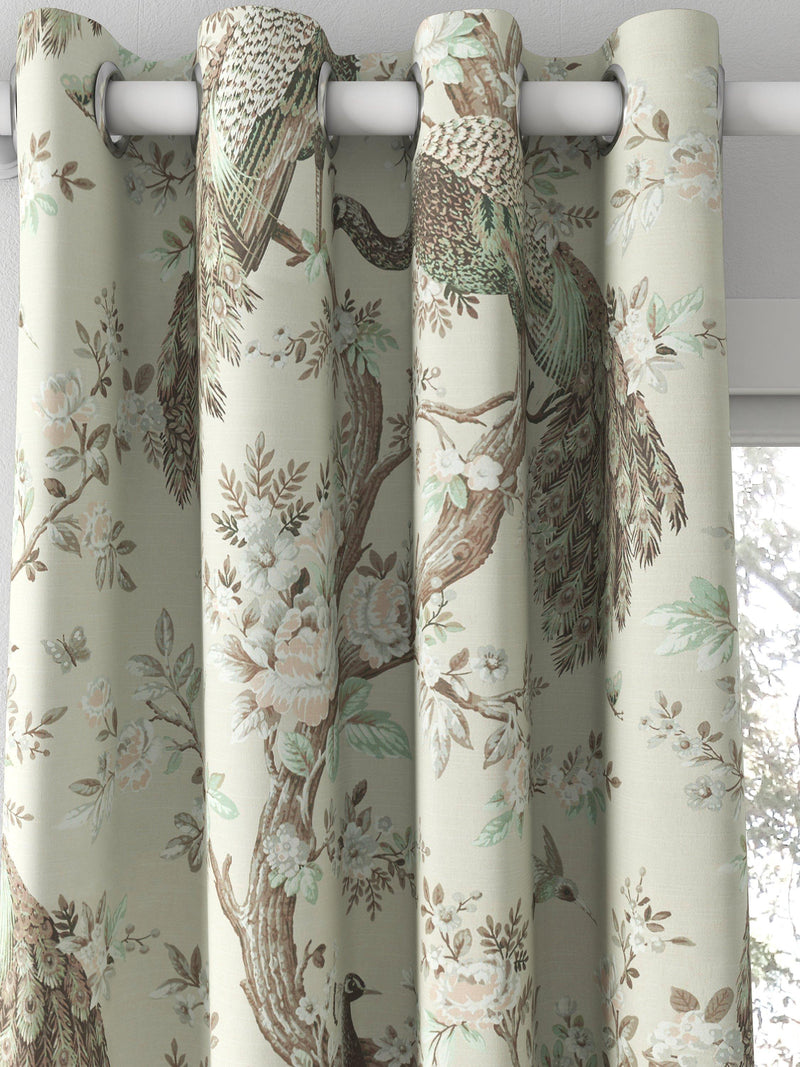 Laura Ashley Belvedere curtain in Truffle with peacock floral print (British brand)