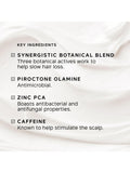 Philip Kingsley Density Stimulating scalp mask 75ml, UK version