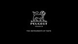 Peugeot Paris pepper mill chocolate 22cm (British brand)