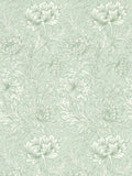 Morris & Co. Chrysanthemum Toile wallpaper L10m x W52cm (British brand)