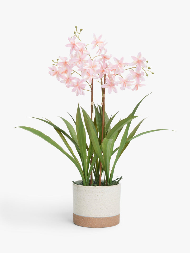 John Lewis artificial mini orchid in ceramic pot, UK version