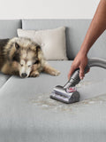 Dyson multi-floor upright vacuum cleaner for pet hair - British product