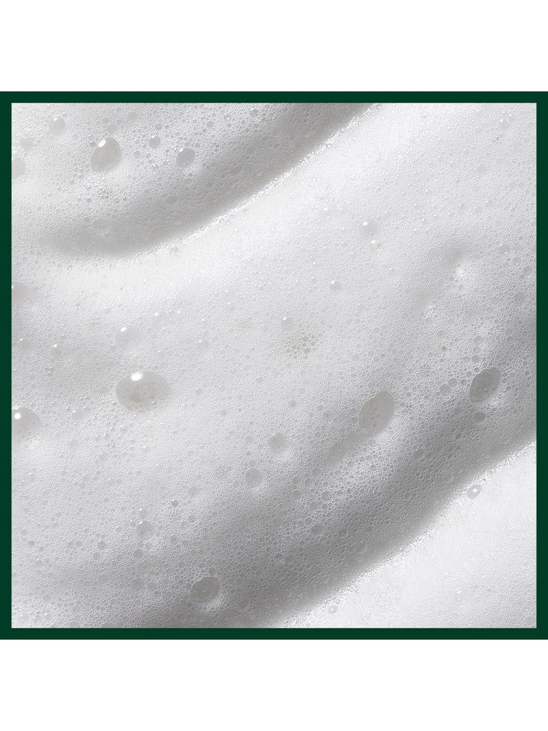 Aveda Nutri-Plenish styling treatment foam 200ml, imported from the UK