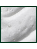 Aveda Nutri-Plenish styling treatment foam 200ml, imported from the UK