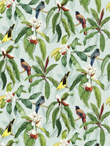 John Lewis Osborne & Little Michelia Wallpaper L9m x W52cm- Buy online at McGrocer
