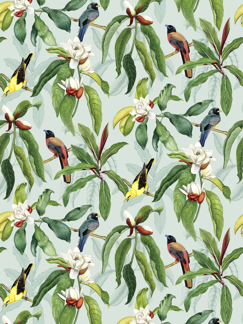 Osborne & Little Michelia wallpaper watercolour design, imported from the UK