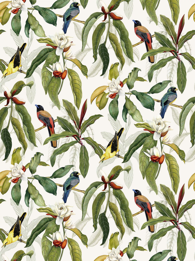 Osborne & Little Michelia Wallpaper L9m x W52cm