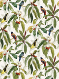 Osborne & Little Michelia Wallpaper L9m x W52cm