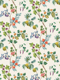 Osborne & Little Orchard Wallpaper L9m x W70cm